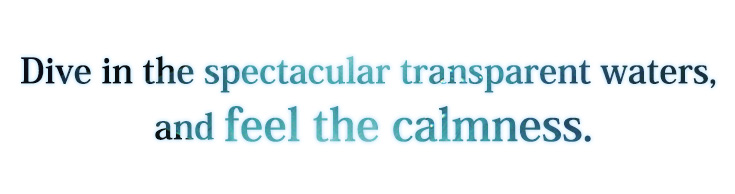 Dive in the spectacular transparent waters,and feel the calmness.