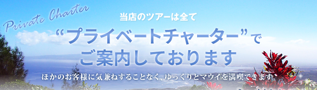 当店の全てのツアーはプライベートチャーター