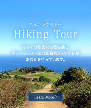 ハイキングツアー